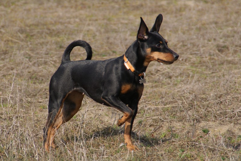 DSC08697.JPG.95922c11eeb209b6b71849d9c0b