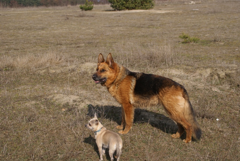 DSC08698.JPG.88b082a6ea09b353ec1261119a0