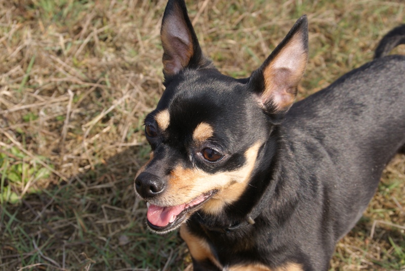 DSC08701.JPG.a06d21636302fdc62cbaf866a2e