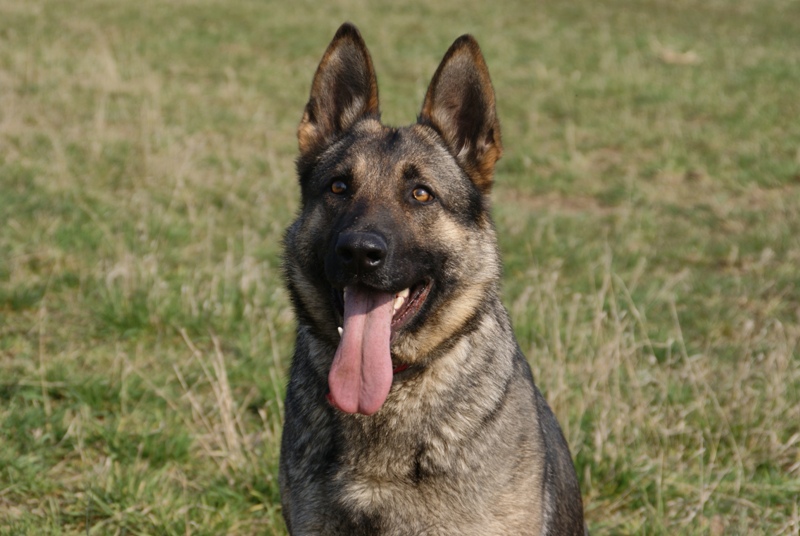 DSC08720.JPG.6ffe841eae0db1bd922217d1faf