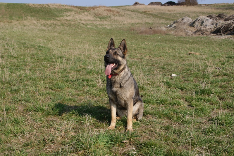 DSC08721.JPG.a6915a0cc524f40ad48c85b671b