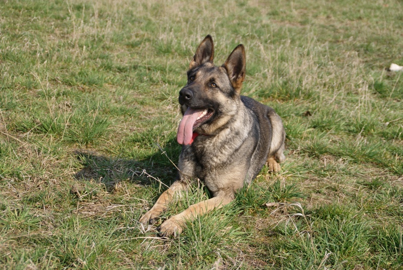 DSC08722.JPG.f351aa191eb5836ed7277a0c364