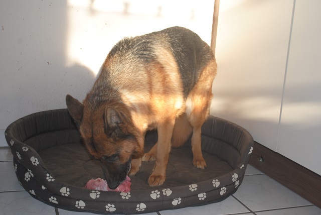 DSC_0935.JPG.8bc97be2dedfd5991f6845a0496