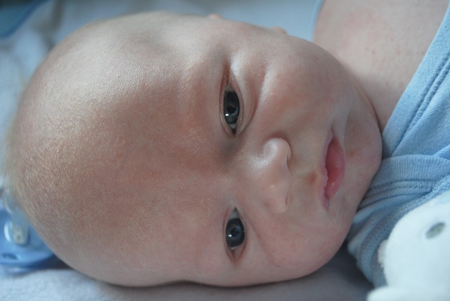 DSC_0955.JPG.6b9fad493590ca3c794b2788cd0