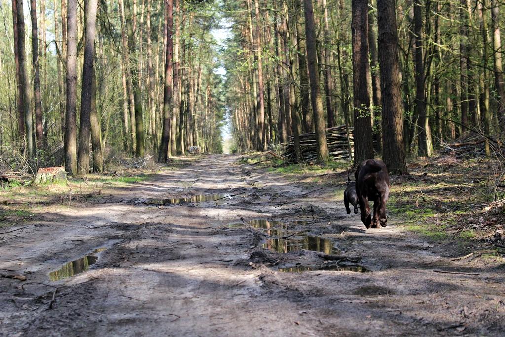 IMG_3667.thumb.JPG.9b55523e28321595cd81c