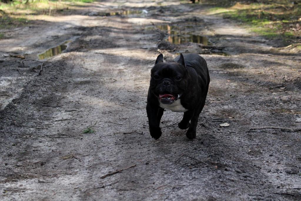 IMG_3671.thumb.JPG.21670431697f9307e5081