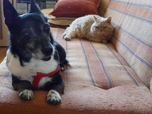 P1210082.JPG.a073fbe9ca477e08584abea4ea4