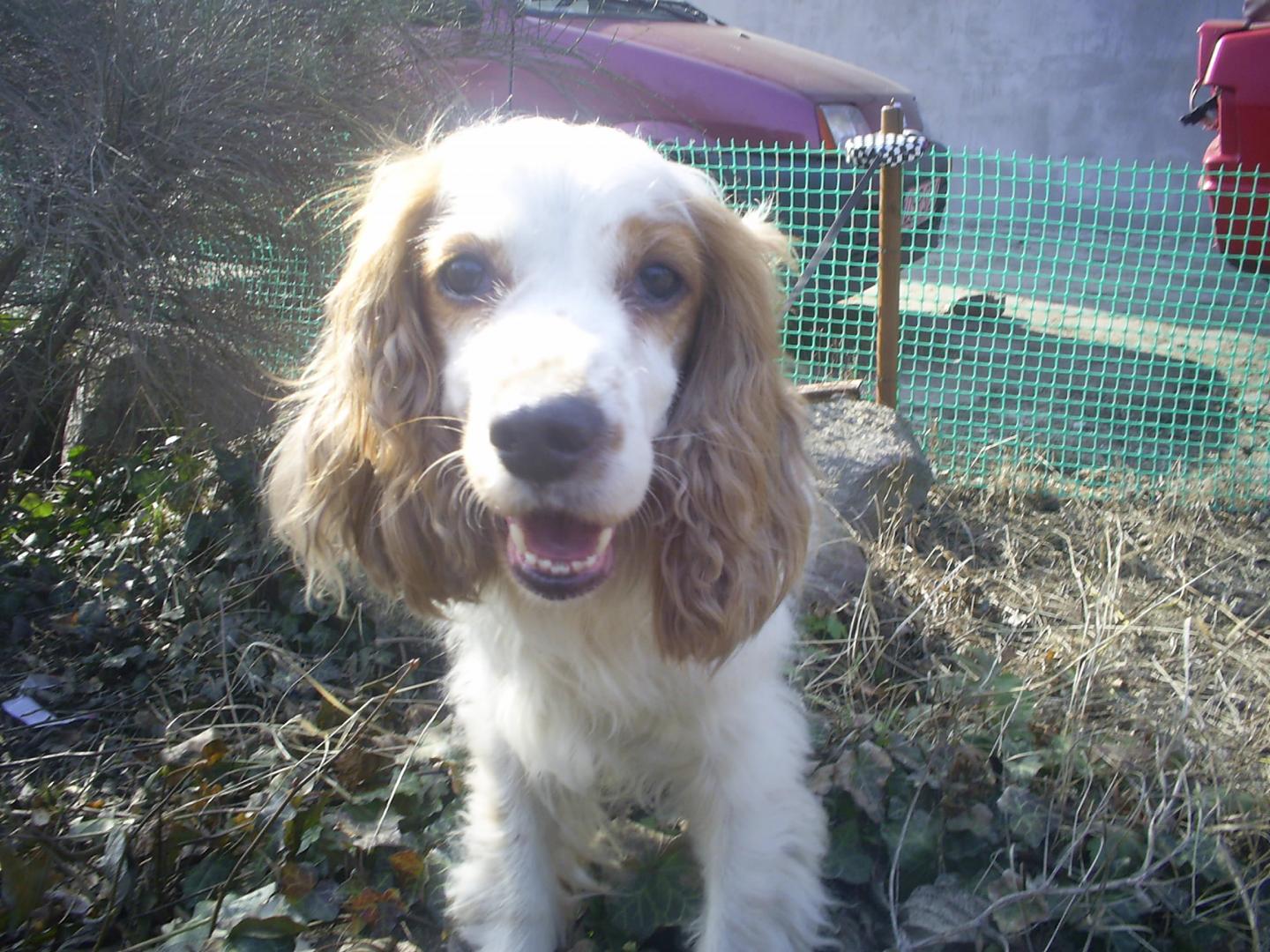 PIC_0634.thumb.JPG.7d36ffaa1cabc212b7562