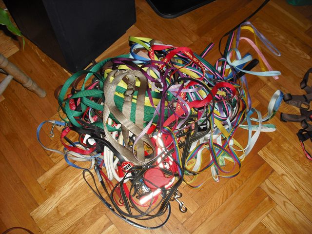 Zb1.JPG.846b9f141291c6c93685382069bdf2b5