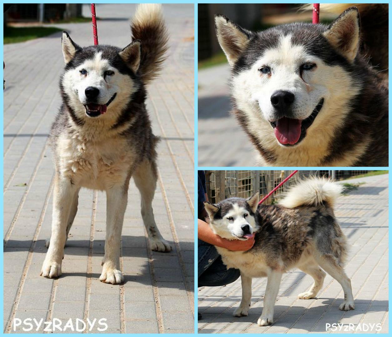 jukon.thumb.jpg.da27fac9df46278a30544abd