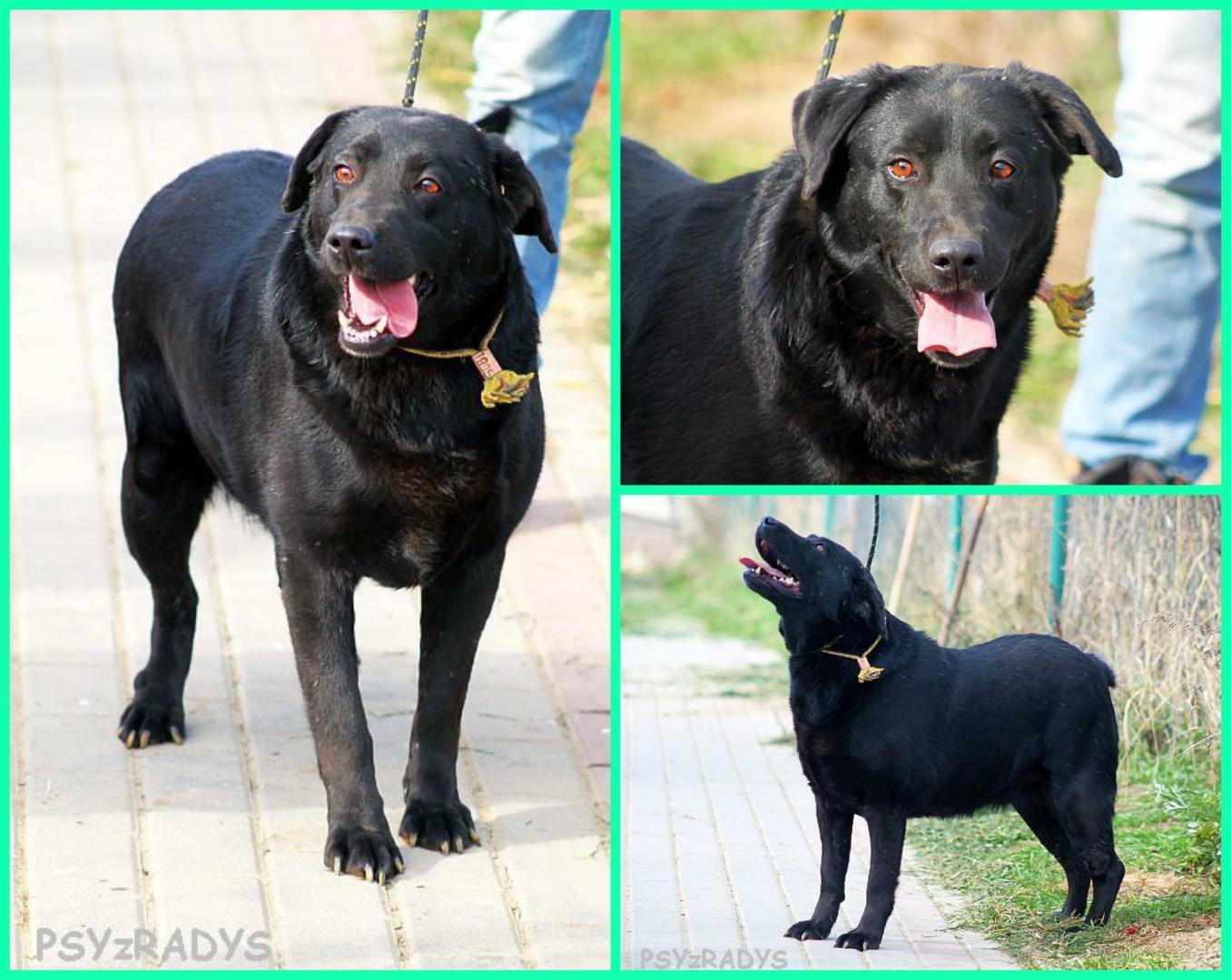 maryna.thumb.jpg.bb860d639cee097418ed134