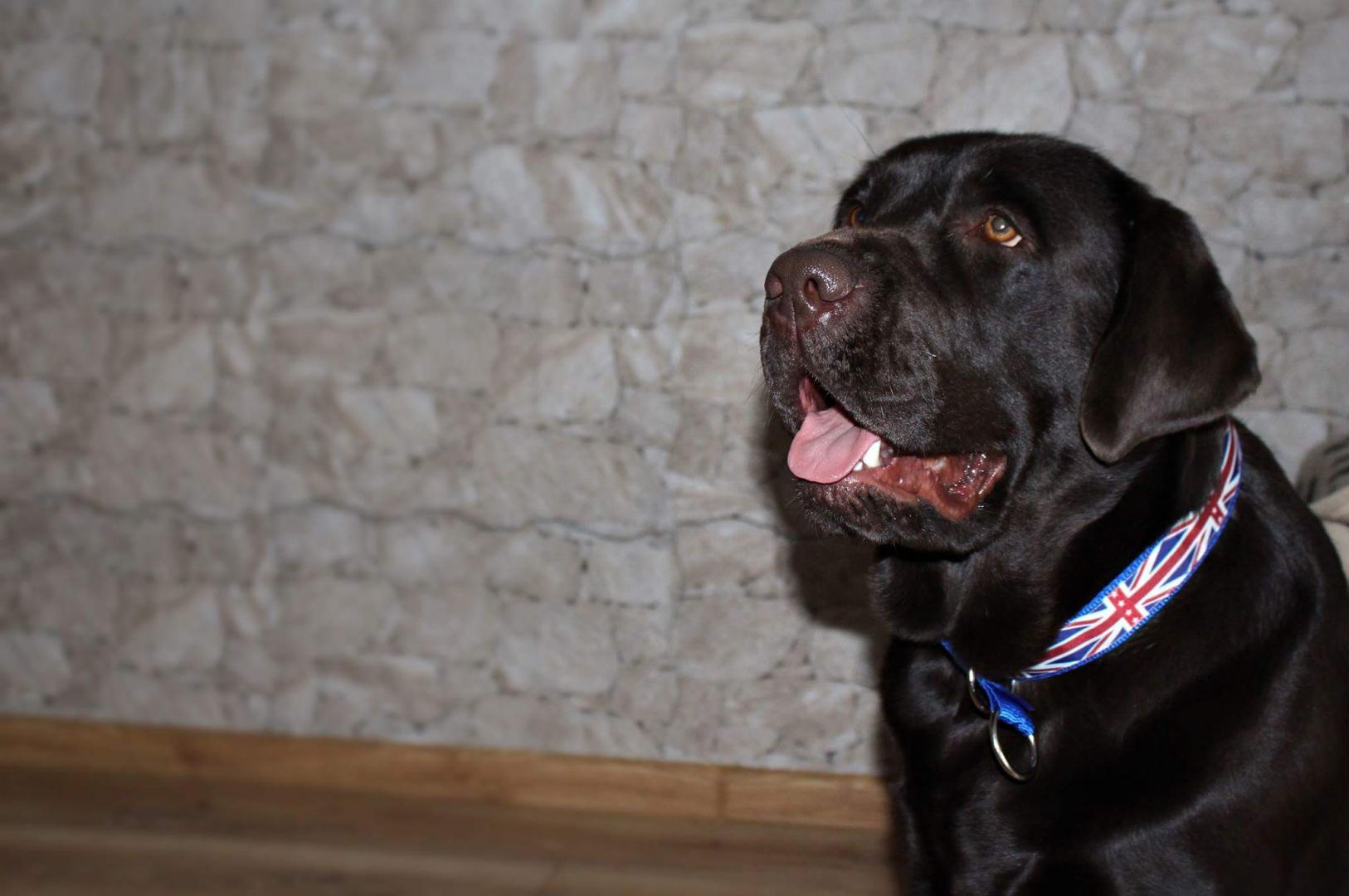 received_10201658491461552.thumb.jpeg.f4