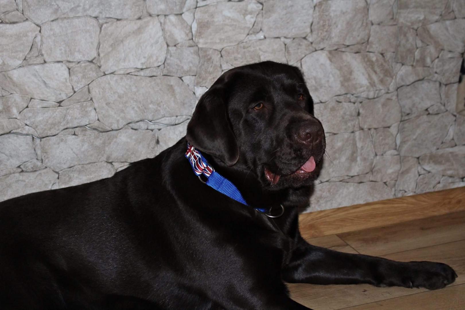 received_10201658492501578.thumb.jpeg.ca