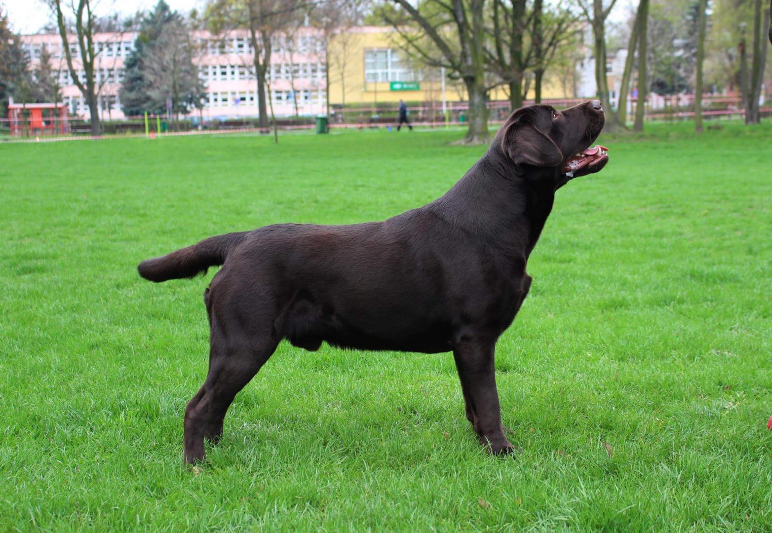 received_10201674905111883.thumb.jpeg.5f