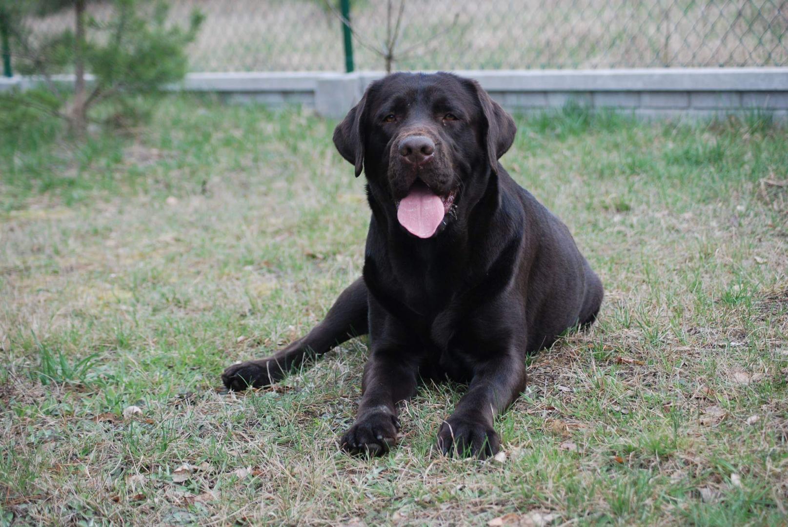 received_1326768127350238.thumb.jpeg.a6a