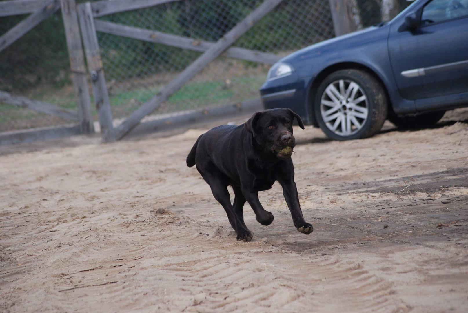 received_1326769364016781.thumb.jpeg.7b8