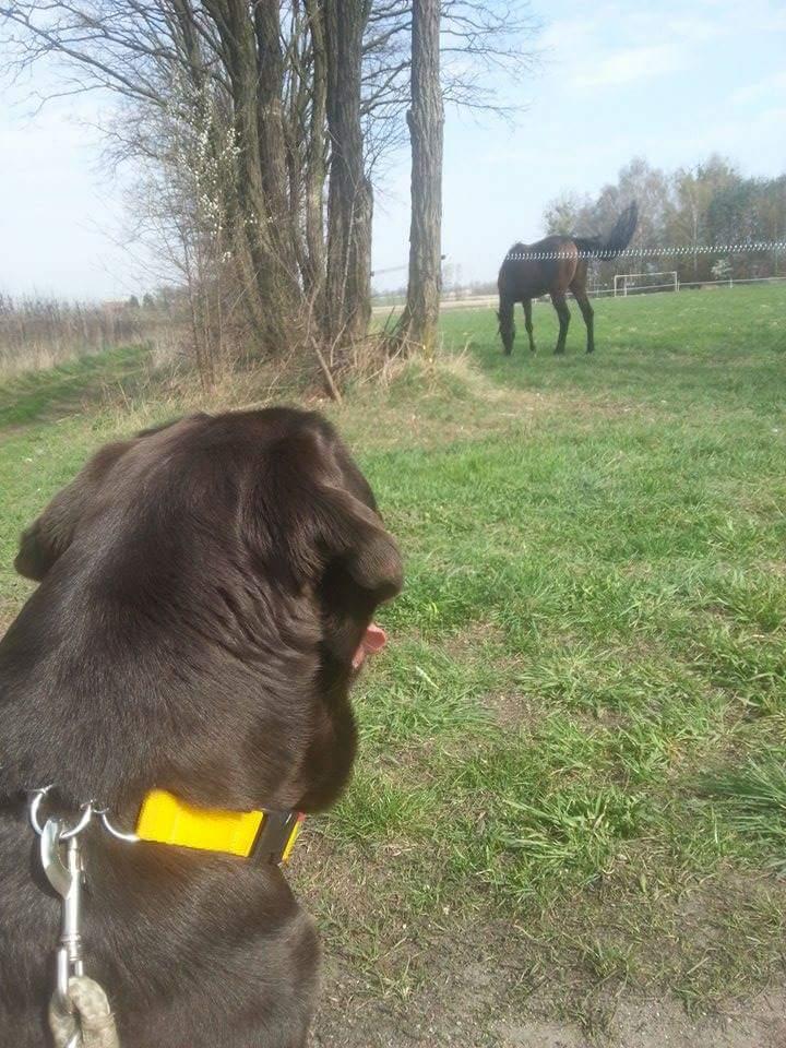 received_1326770084016709.thumb.jpeg.84e