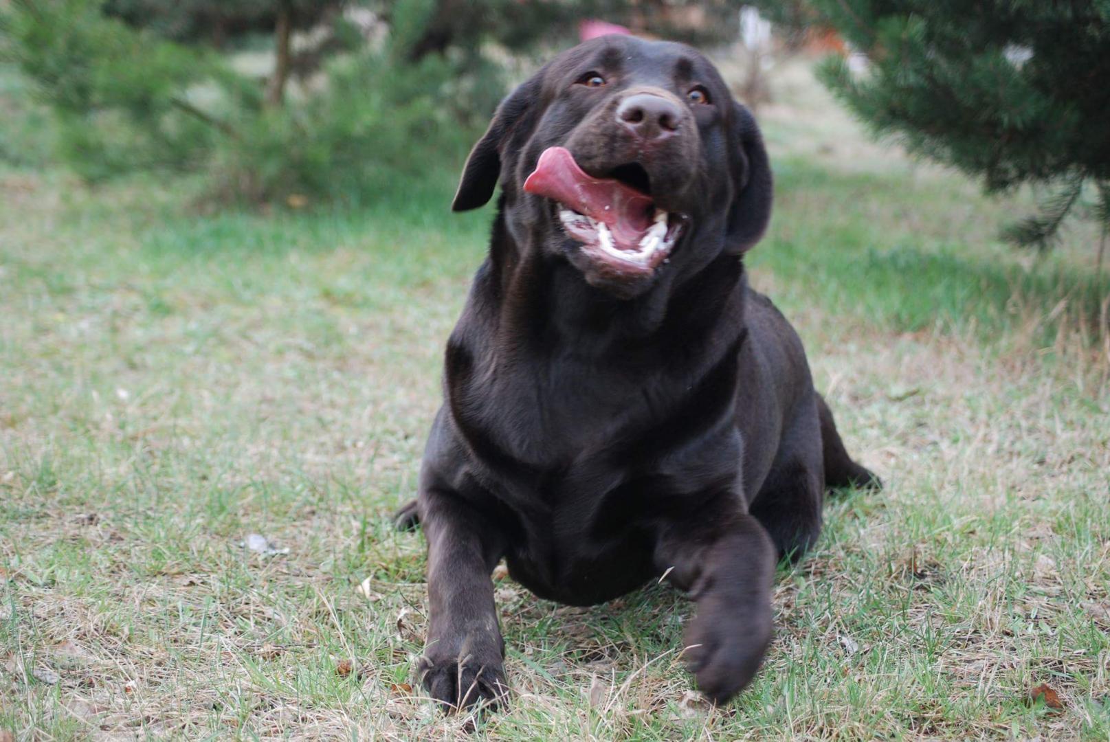 received_1326784227348628.thumb.jpeg.7cc