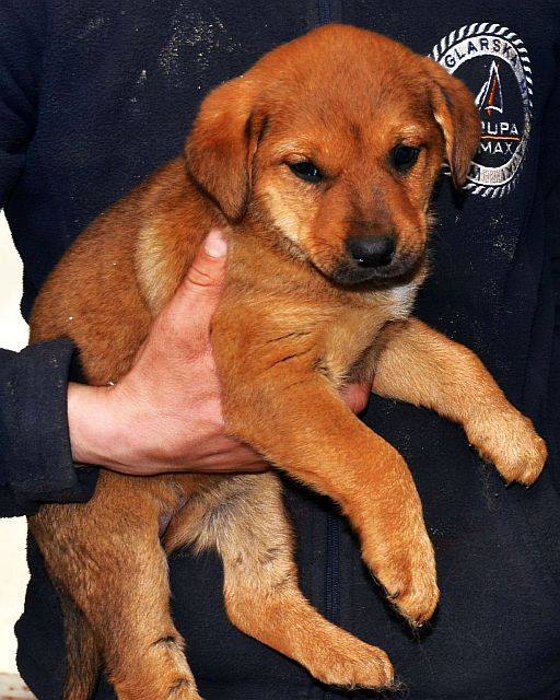 szcz10.jpg.095bcdd3705a0f77029e487bf8c82