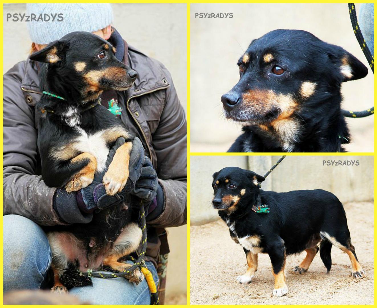 PicMonkey Collage.jpg