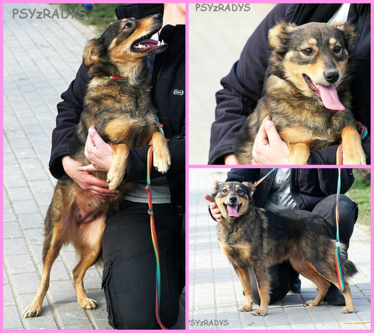 PicMonkey Collage.jpg