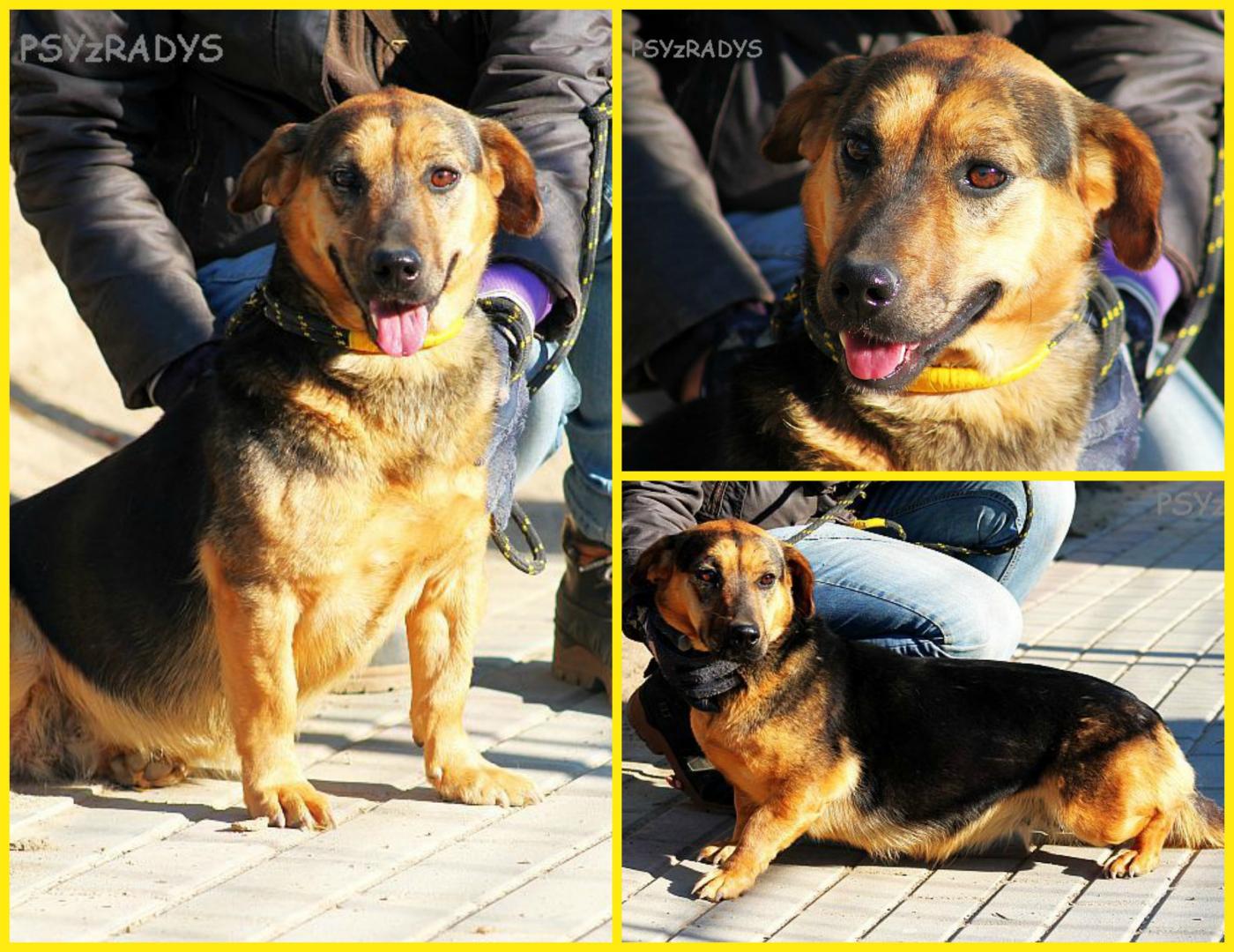 PicMonkey Collage.jpg