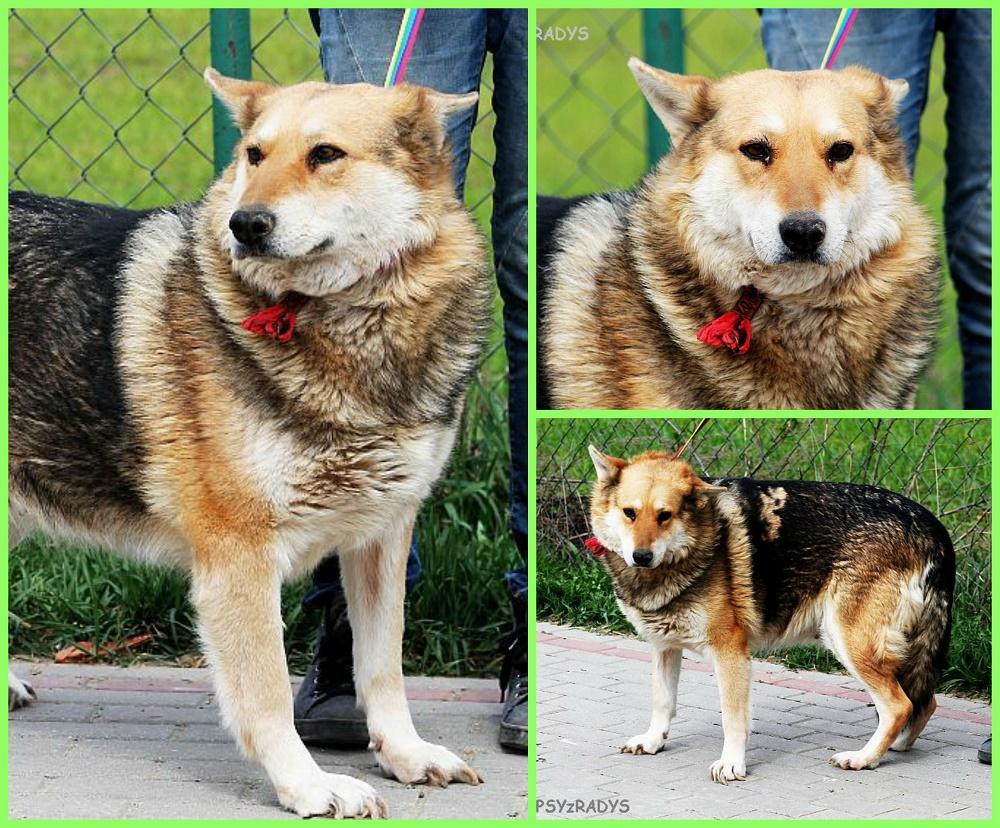 PicMonkey Collage.jpg