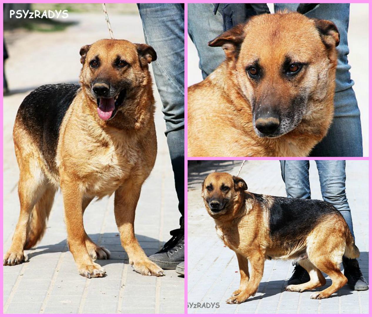 PicMonkey Collage.jpg