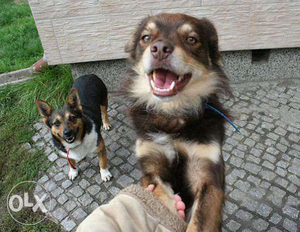 8.jpg.3c4c3c615d2014d0cb8182deb4e7fa9d.j