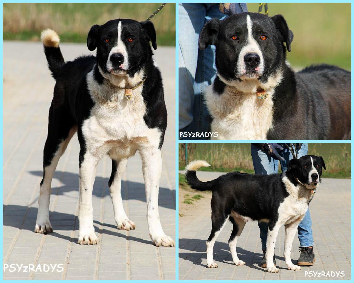 kazan.thumb.jpg.d6d08934a05f414f634a8cbb