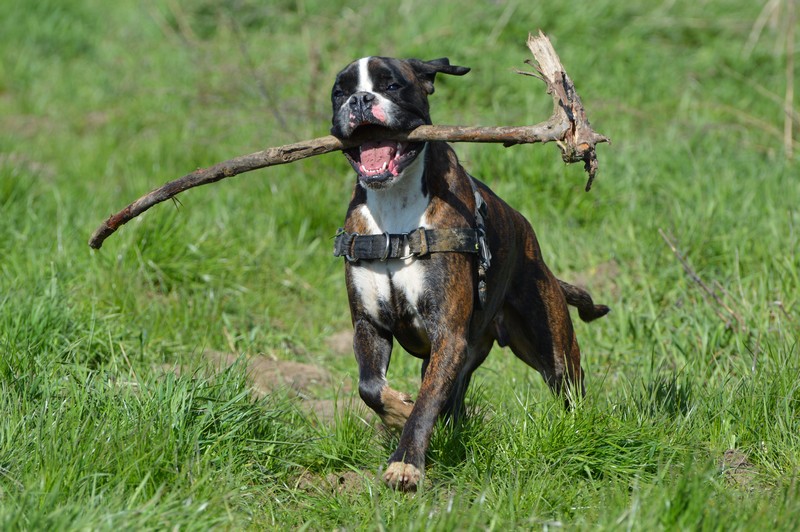 q.jpg.7c3de7c78088ffeedcf04847881639af.j