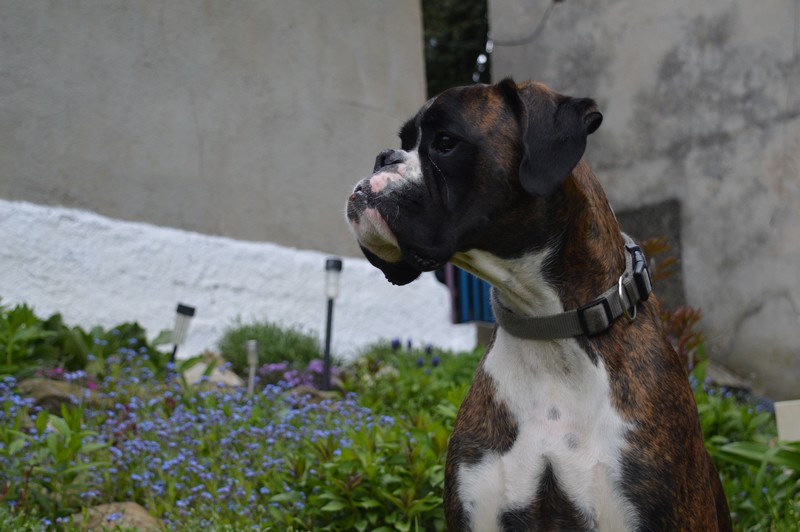 qqq.jpg.abbf516054a9fe559985f18682924e92