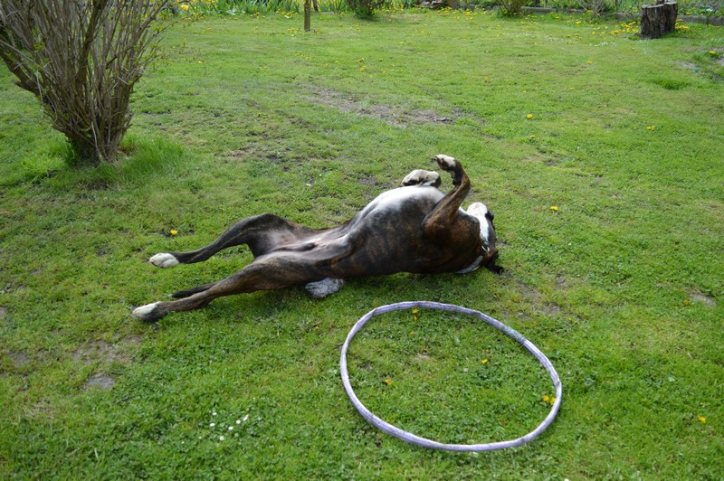 qqqqq.jpg.1d2e33b2491b8cb4dbef193e0c847e