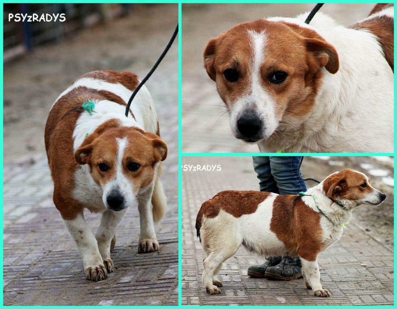 uta.thumb.jpg.9280e0b2f84d2e5ab4c45bd489