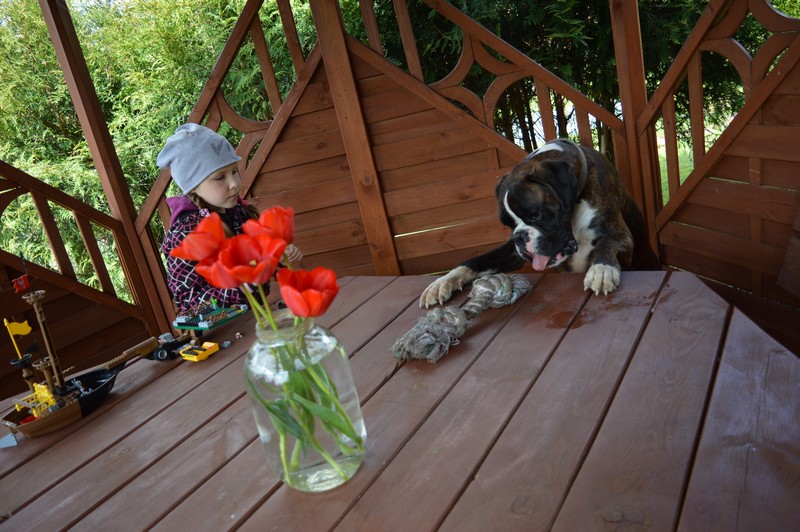 wwww.jpg.a0c45e5b1a384a79f42c0abb0abe814