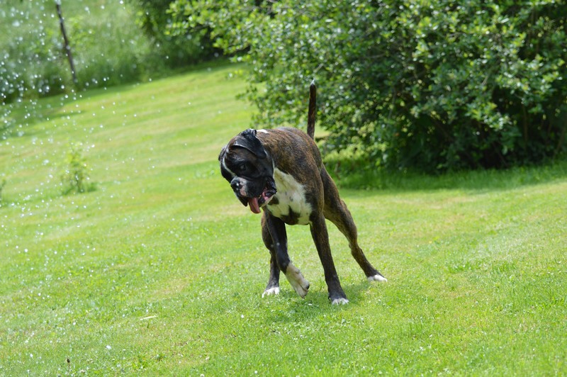 dwa lata shadusia 012.JPG