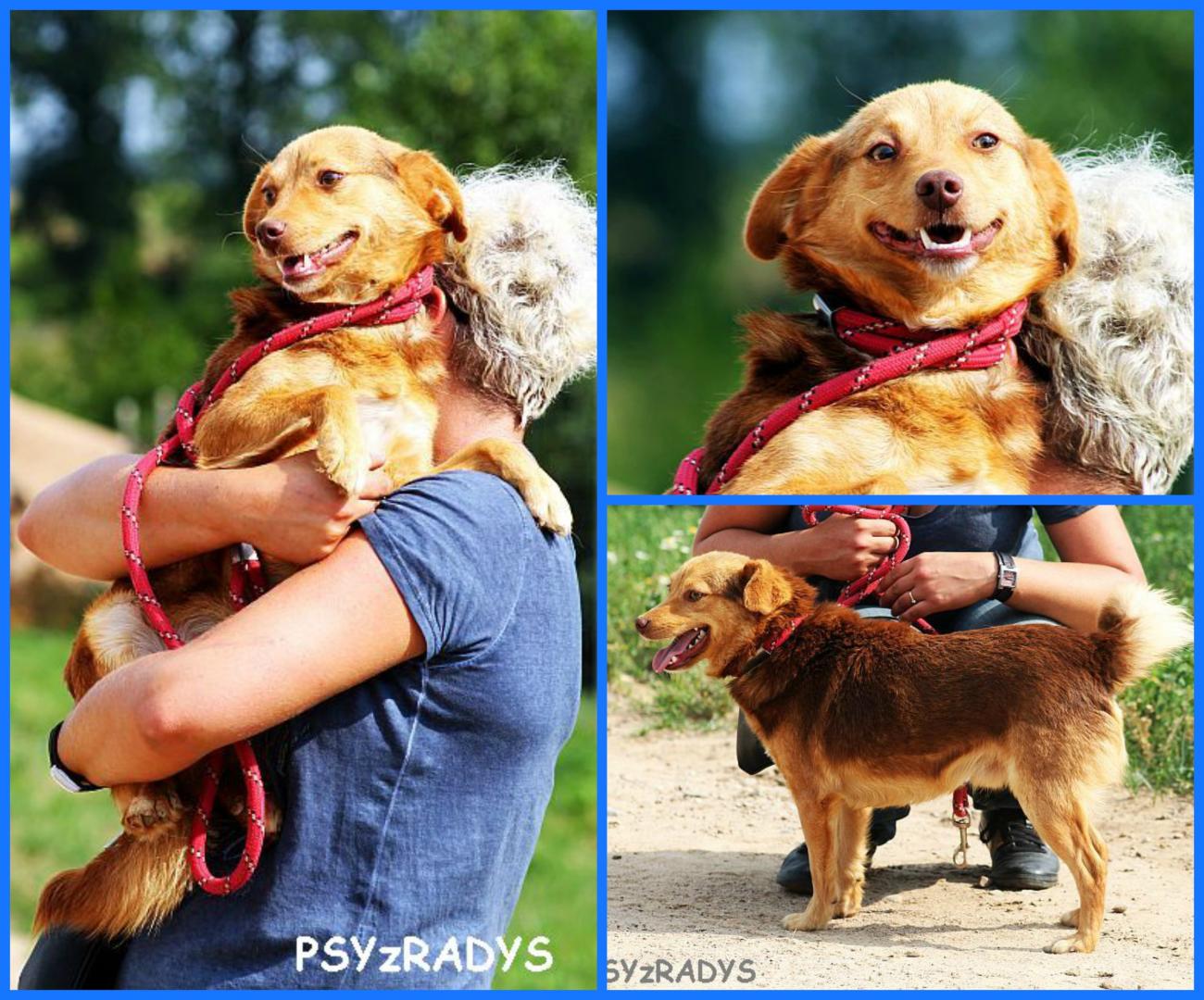 PicMonkey Collage.jpg