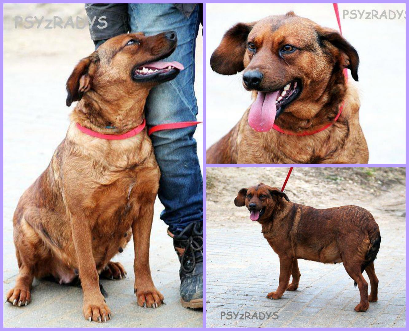 PicMonkey Collage.jpg