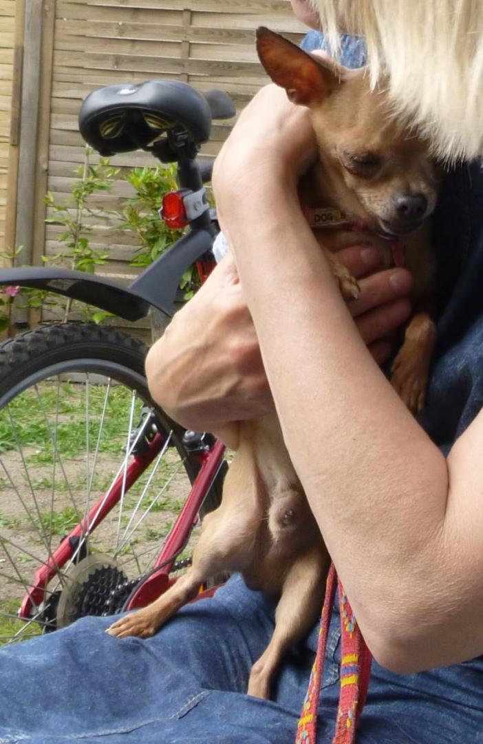 2016-06-16 (324).jpg