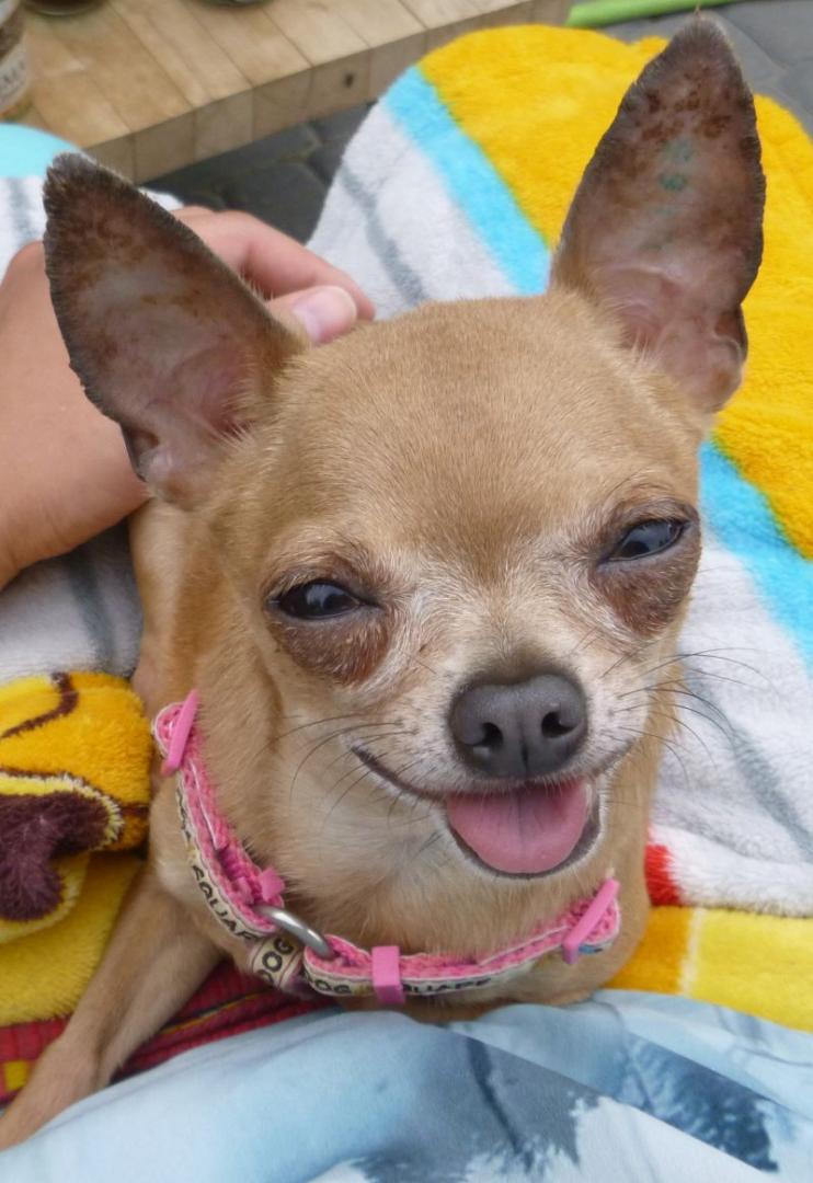 2016-06-16 (338).jpg