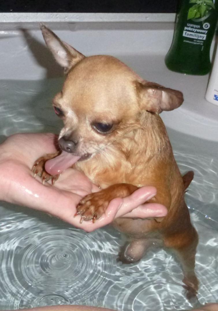 2016-06-19 KĄPIEL (160).jpg