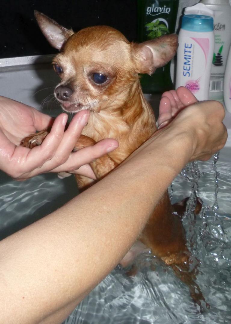 2016-06-19 KĄPIEL (171).jpg