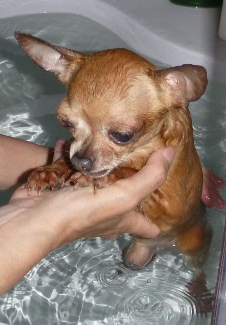 2016-06-19 KĄPIEL (173).jpg