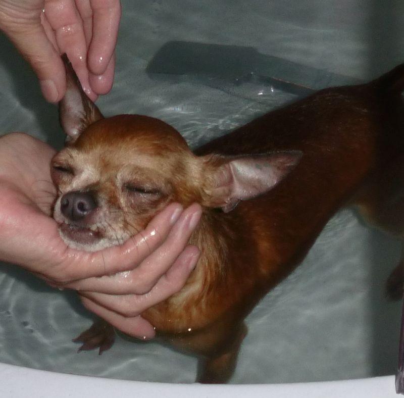 2016-06-19 KĄPIEL (187).jpg