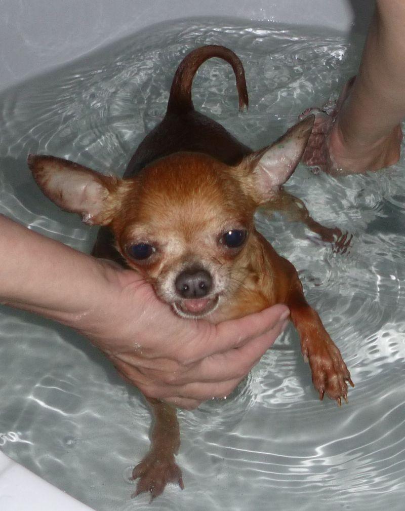 2016-06-19 KĄPIEL (200).jpg