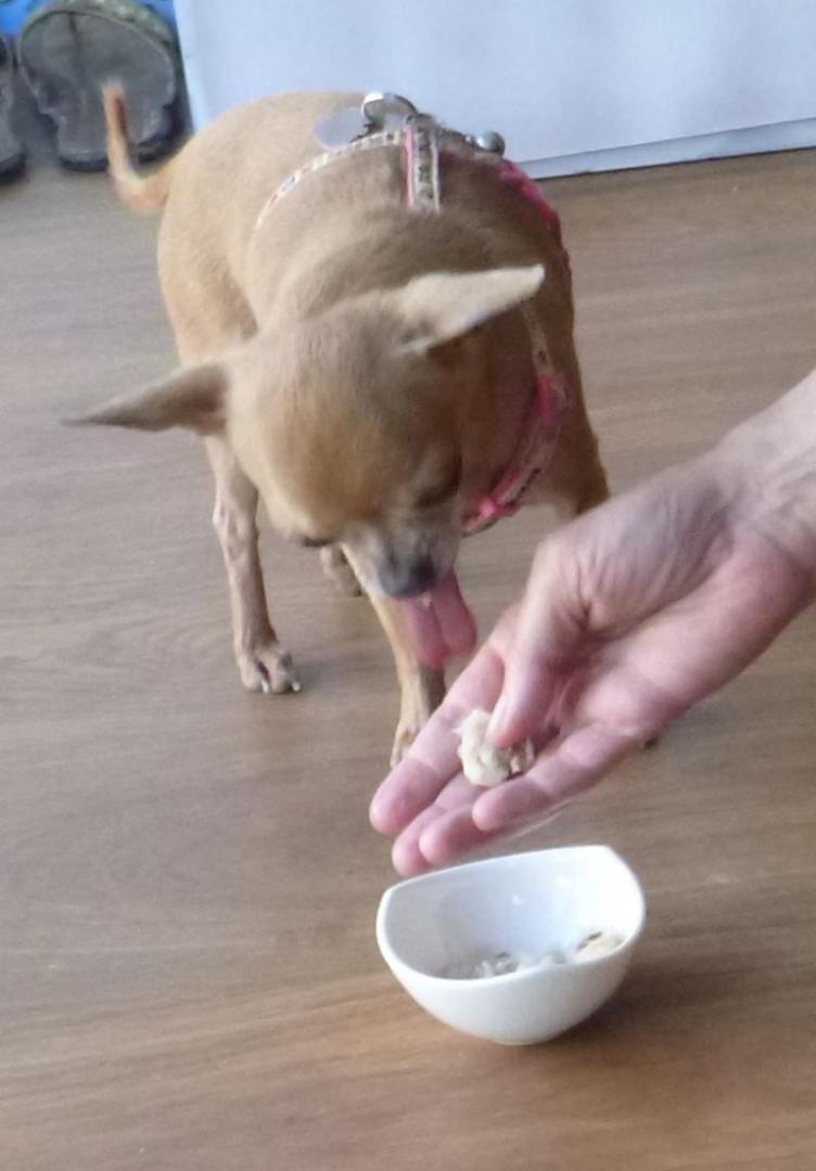 2016-06-19 KĄPIEL (46).jpg