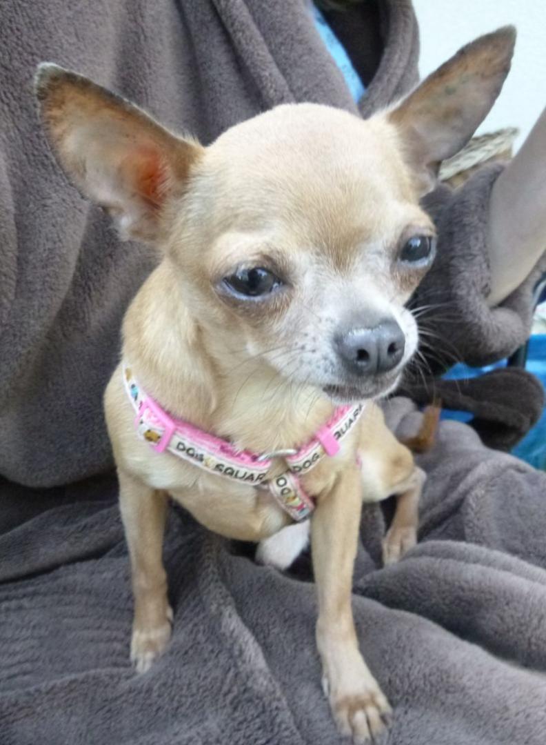 2016-06-19 KĄPIEL (123).jpg