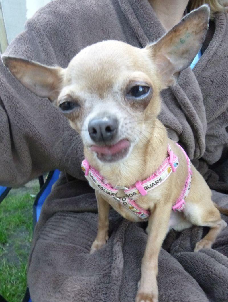 2016-06-19 KĄPIEL (125).jpg