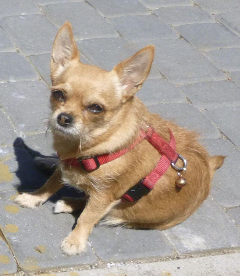 2016-06-19 KĄPIEL (39) 3.jpg