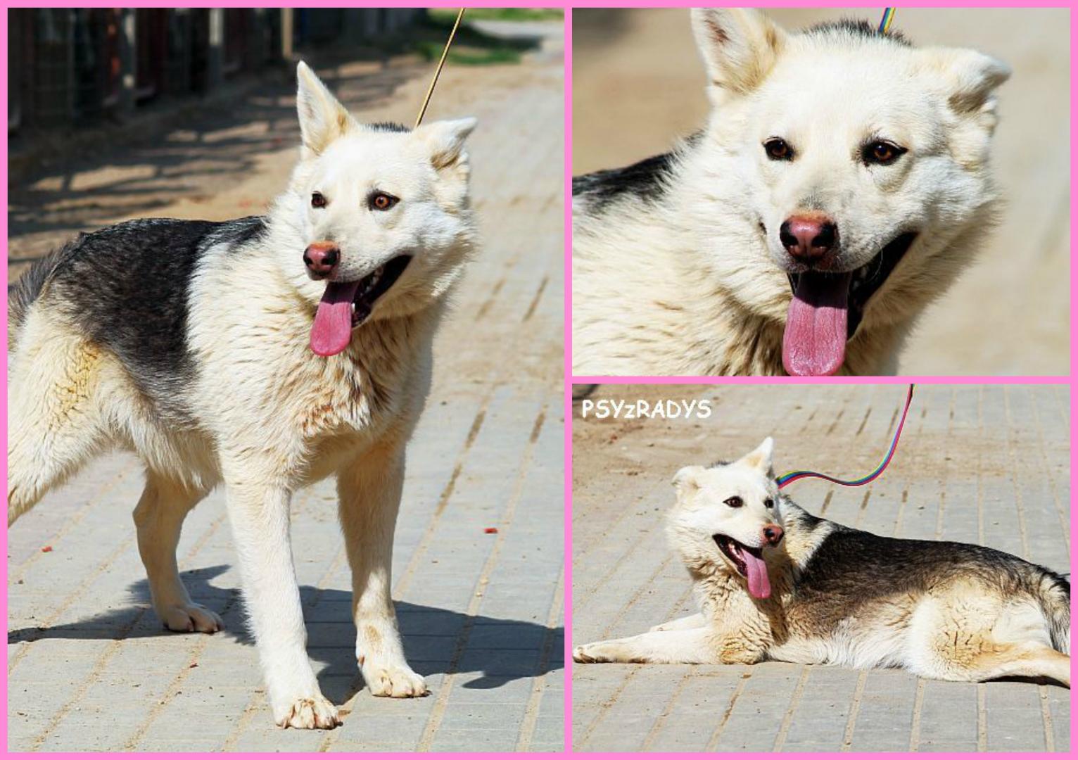 PicMonkey Collage.jpg